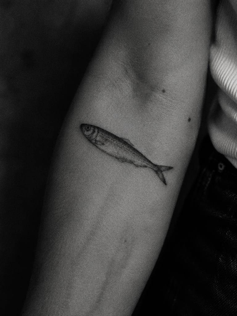 Sardine flash